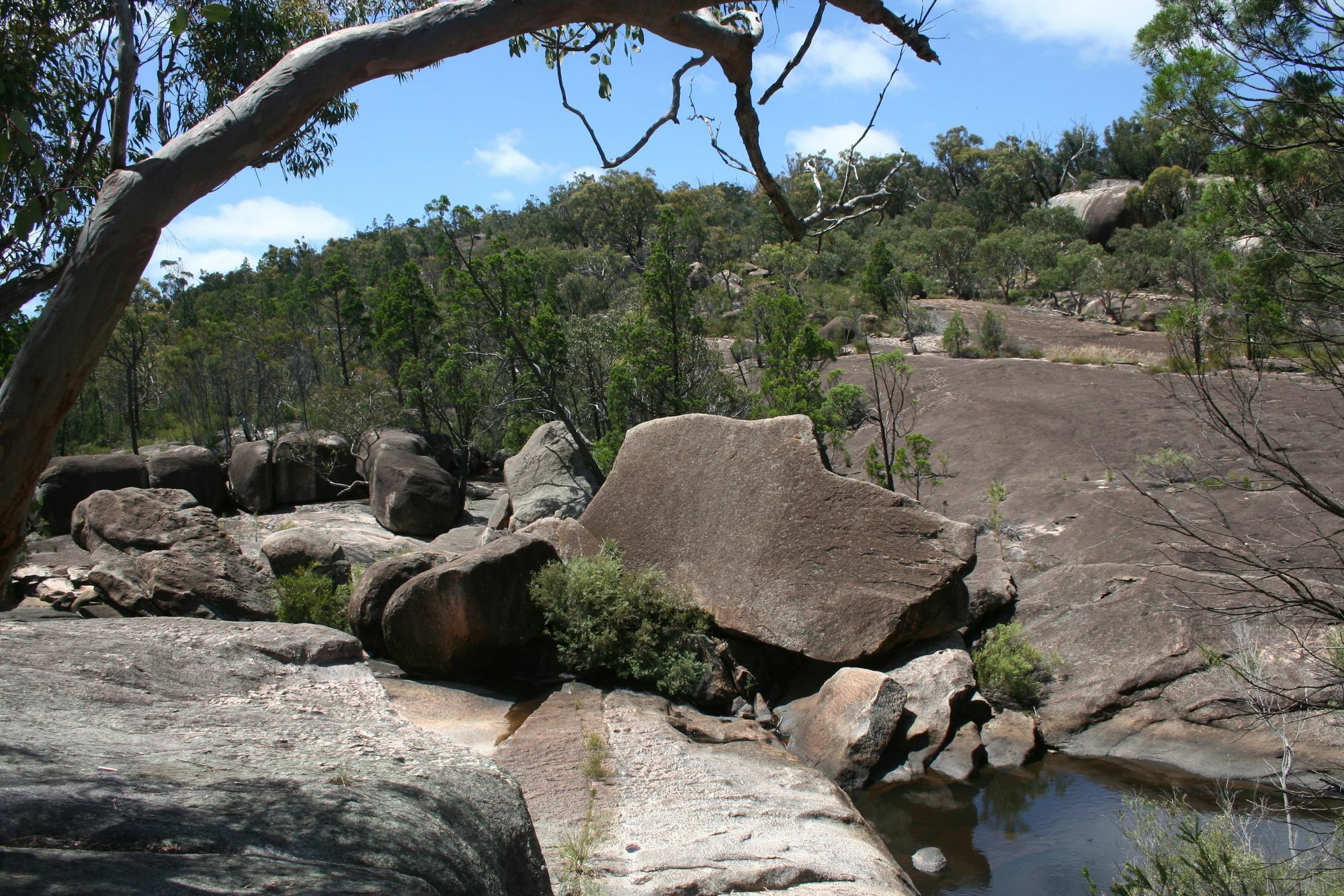 Grovely House Bed and Breakfast Stanthorpe Buitenkant foto