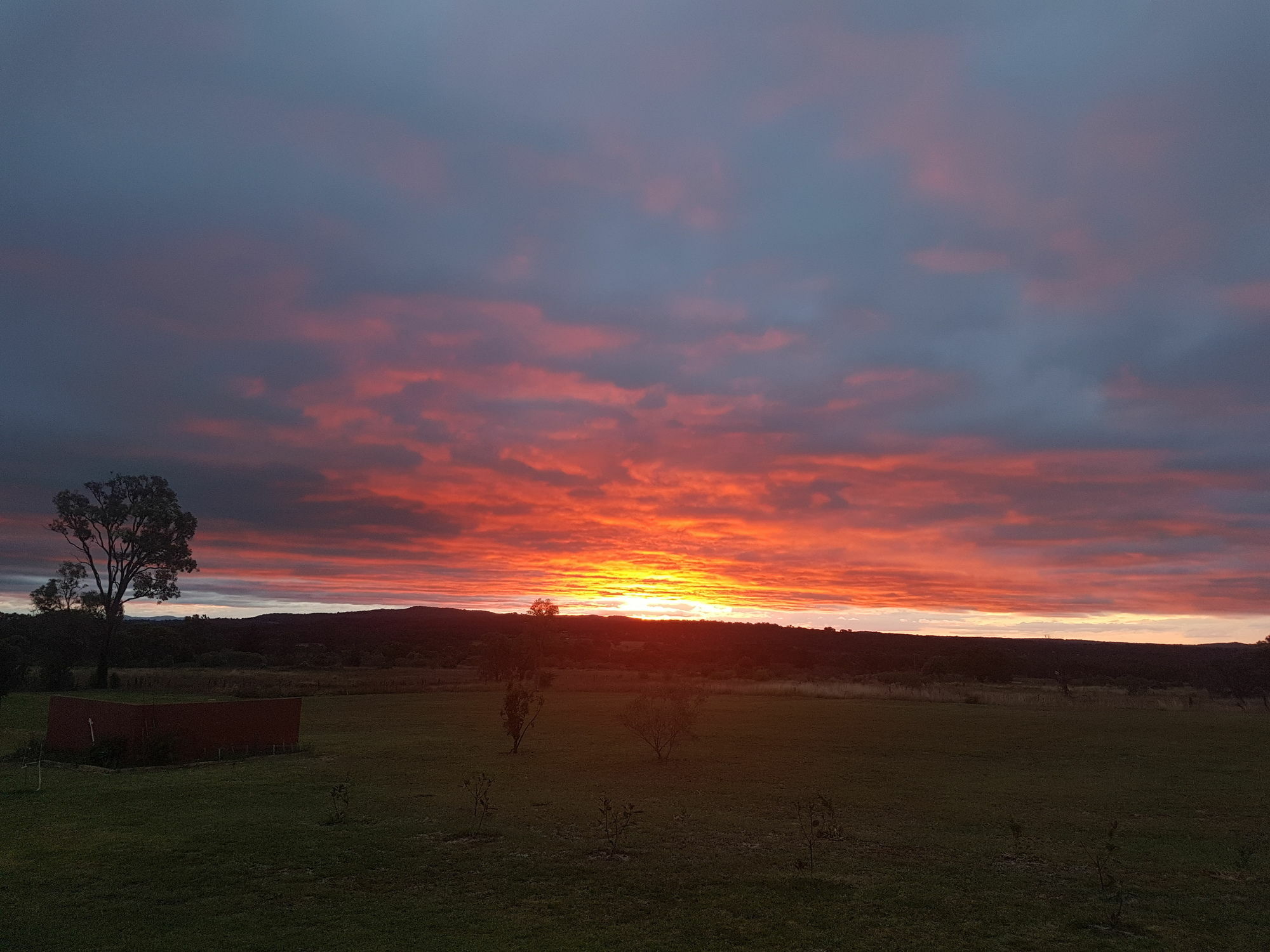 Grovely House Bed and Breakfast Stanthorpe Buitenkant foto